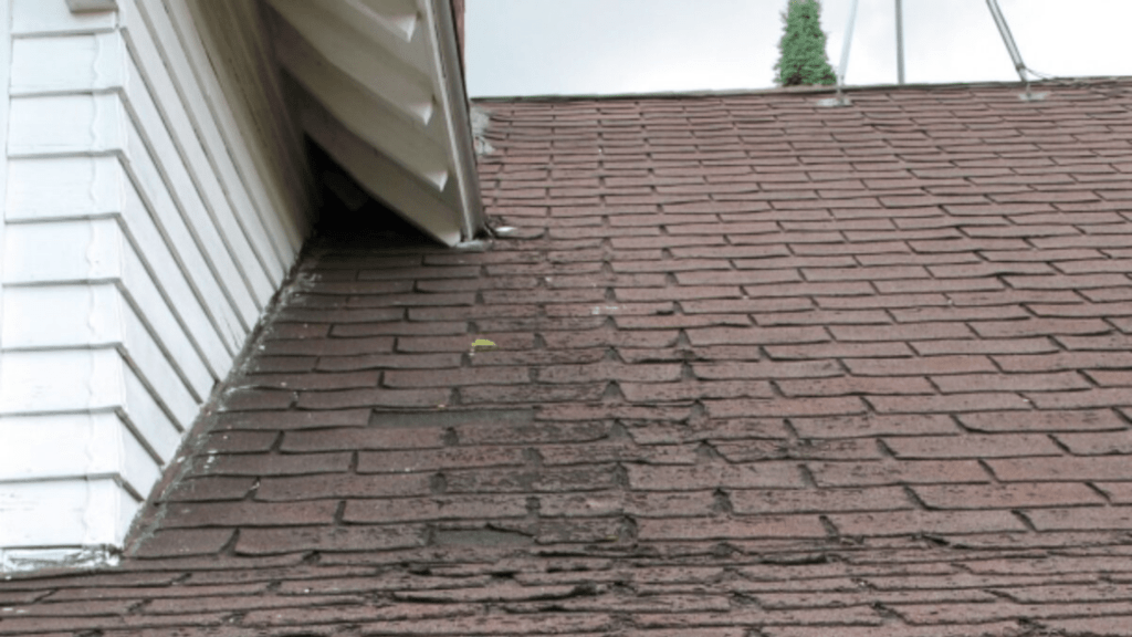 Granule Shedding is a Sign to Change the Roof