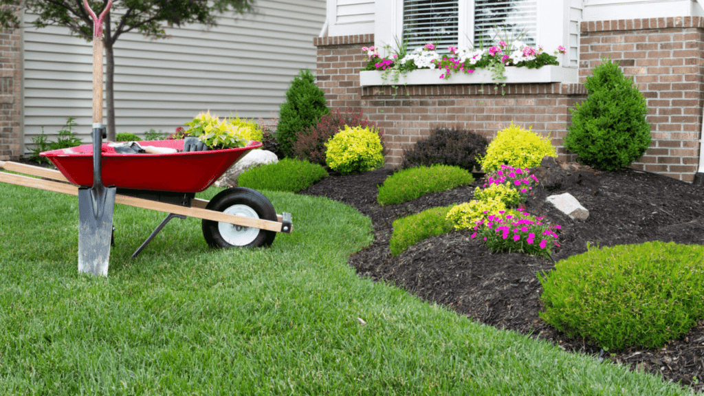 Choose the Type of Landscaping