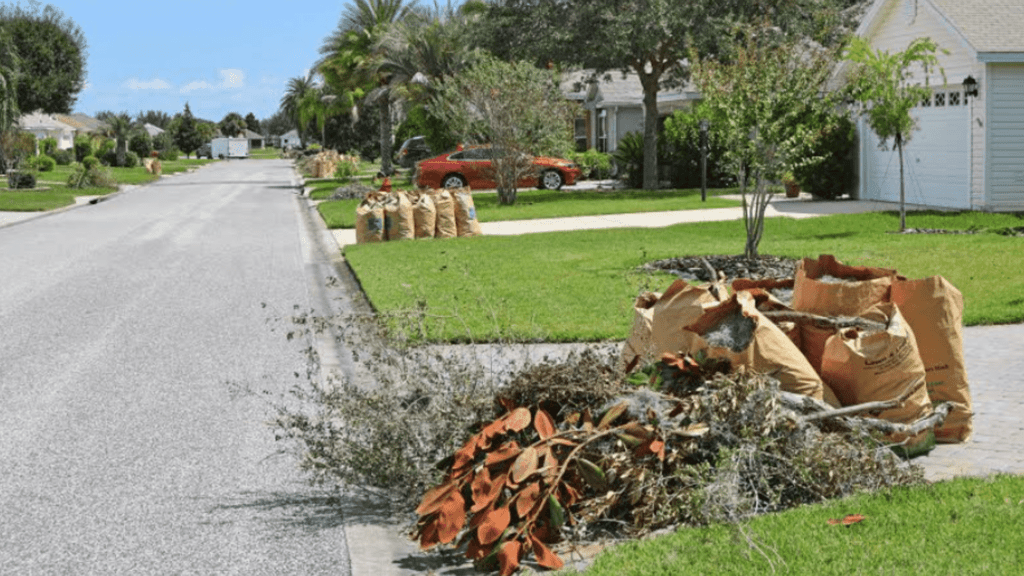 Yard Debris Removal Services