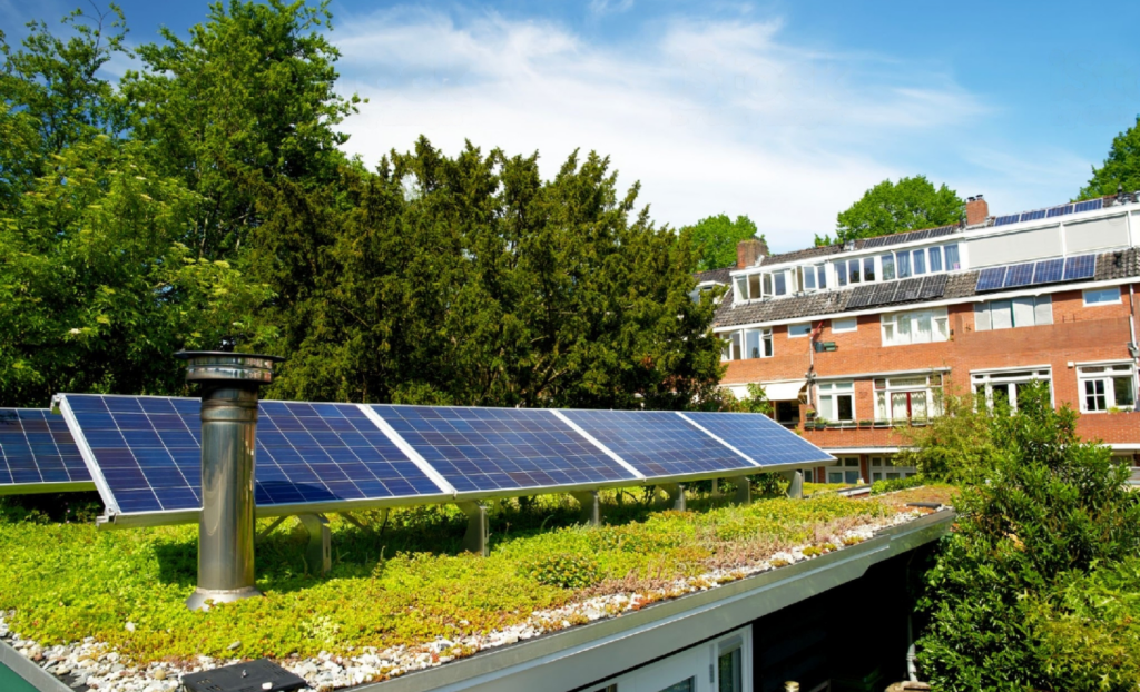 Eco roof with plants - green design.