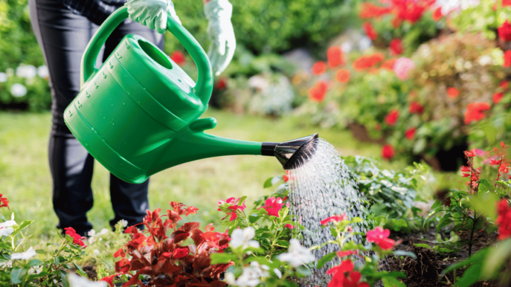 Tools for Lawn Care and Yard Maintenance: Watering can
