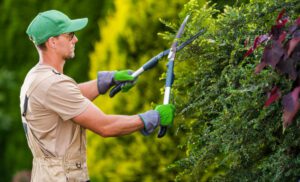 growing lawn care business